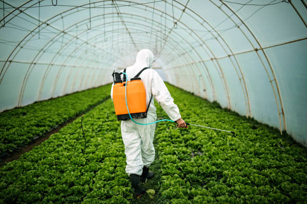 Best Mosquito Control Services  in Thornport, OH