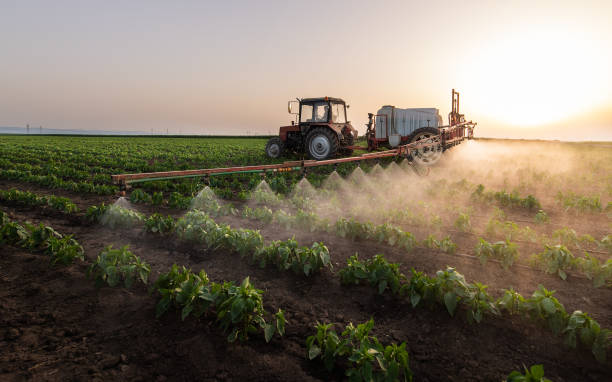 Best Best Pest Control Companies  in Thornport, OH