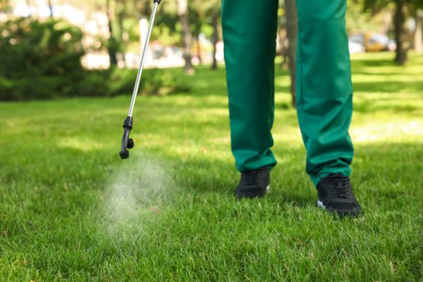 Best Cockroach Control Services  in Thornport, OH