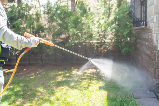 Best Local Pest Control Services  in Thornport, OH