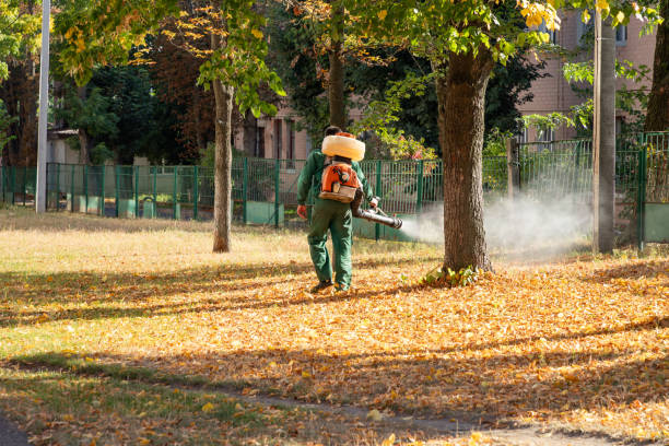 Best Residential Pest Control  in Thornport, OH