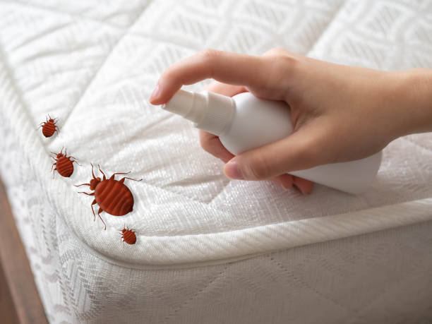 Best Commercial Pest Control Services  in Thornport, OH