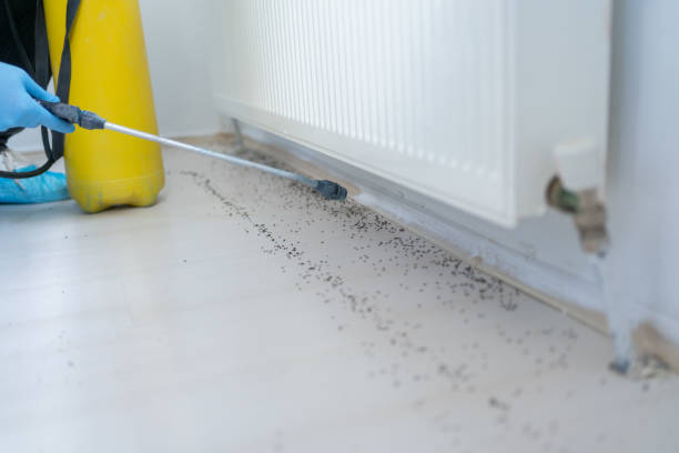 Best Mosquito Control Services  in Thornport, OH