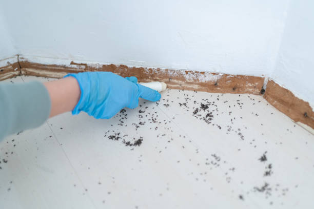 Best Wildlife Control Services  in Thornport, OH