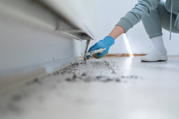 Professional Pest Control in Thornport, OH